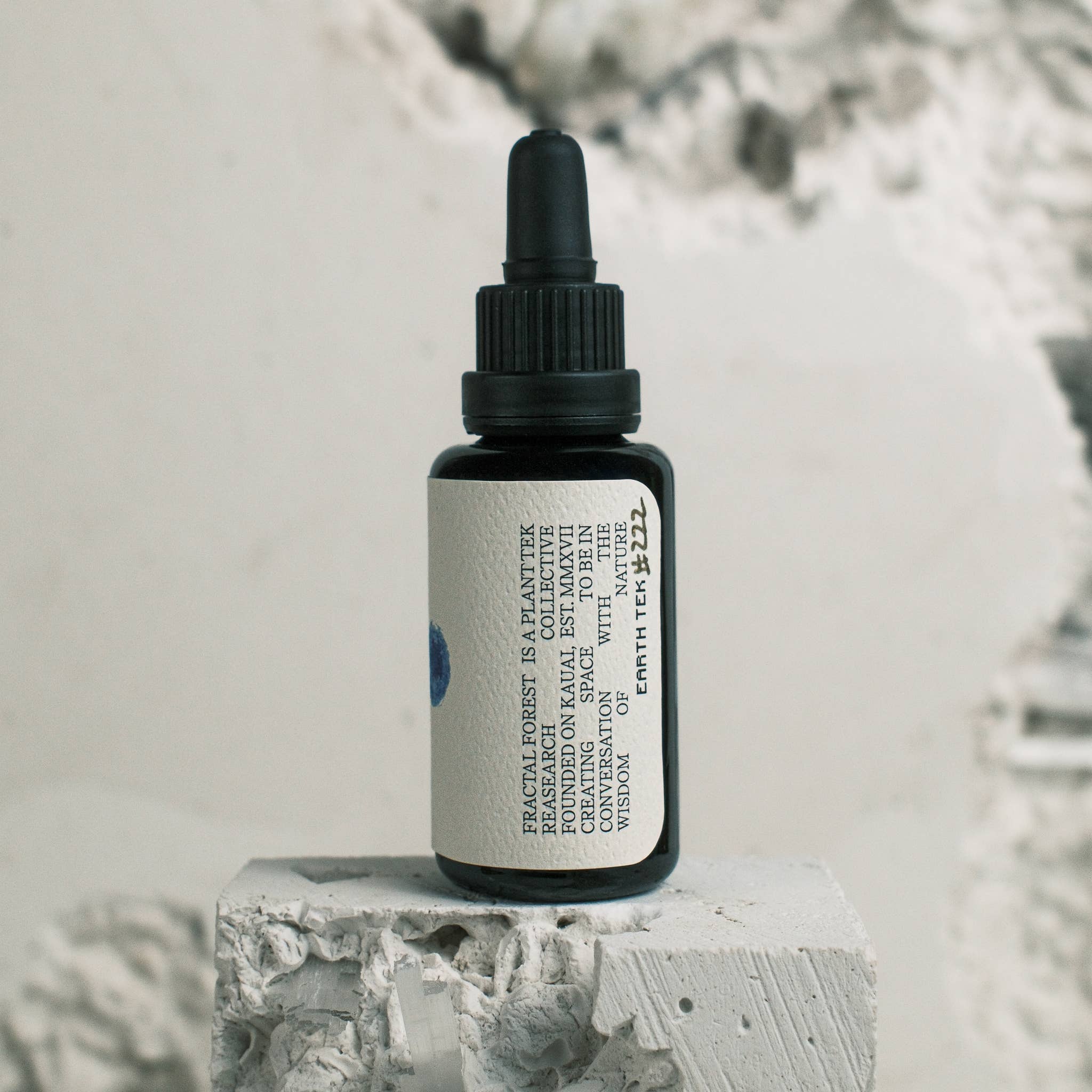 Fractal Forest - Methylene Blue