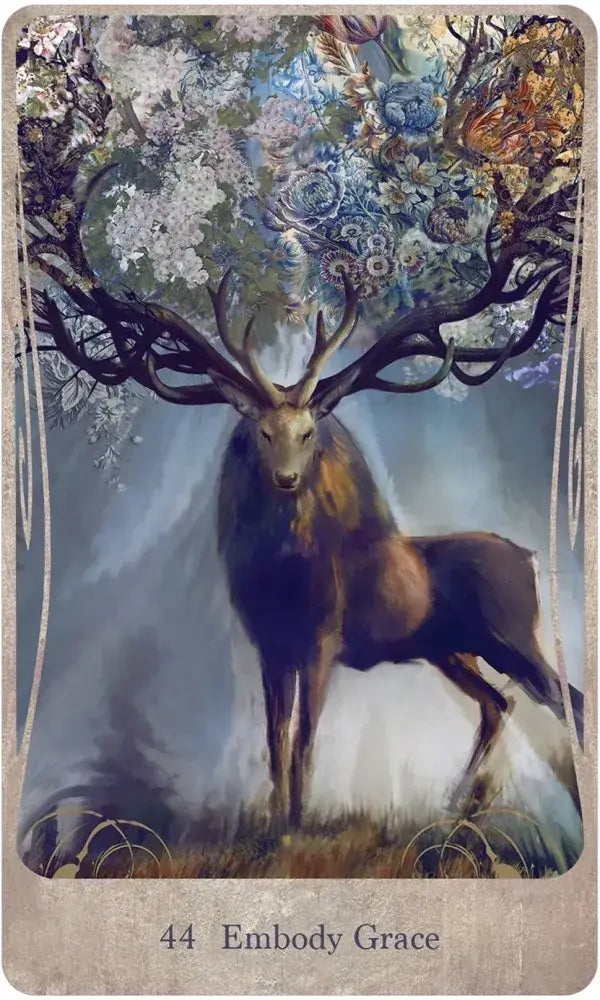 Ensemble de cartes et de livres Oracle Divine Nature