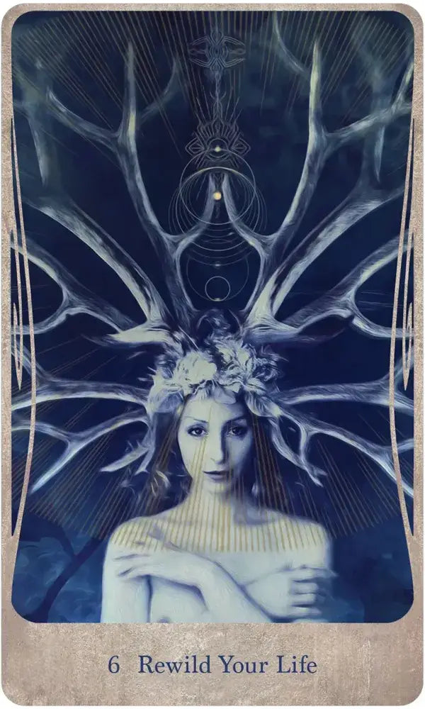Ensemble de cartes et de livres Oracle Divine Nature