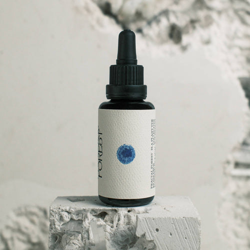 Fractal Forest - Methylene Blue