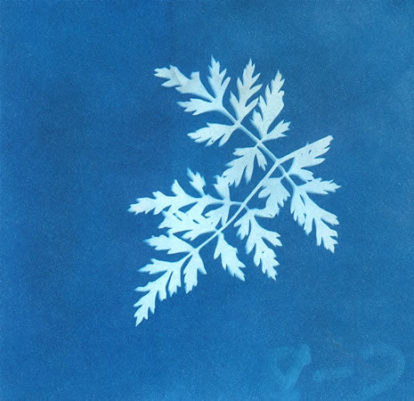Super Sunprint Kit- Art